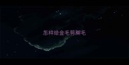 怎样给金毛剪脚毛
