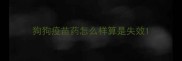 狗狗疫苗药怎么样算是失效