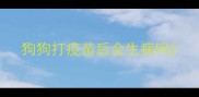 狗狗打疫苗后会生病吗