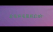 金毛背毛是粗白的
