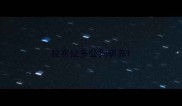 拉布拉多公狗驯养
