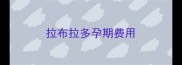 拉布拉多孕期费用