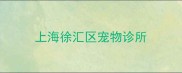 上海徐汇区宠物诊所