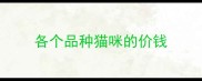 各个品种猫咪的价钱