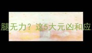 警惕7月龄幼犬腿无力这5大元凶和应对指南家长必看