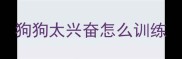 狗狗太兴奋怎么训练