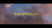 泰迪牙齿不好怎么办