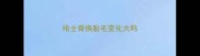 哈士奇换胎毛变化大吗