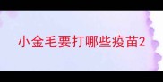 小金毛要打哪些疫苗