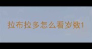 拉布拉多怎么看岁数