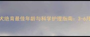 公拉布拉多犬绝育最佳年龄与科学护理指南3-6月龄黄金期全