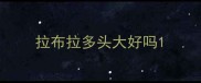 拉布拉多头大好吗