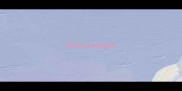 拉布拉多犬会发烧治疗