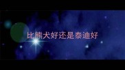 比熊犬好还是泰迪好
