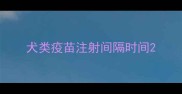 犬类疫苗注射间隔时间