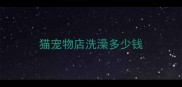 猫宠物店洗澡多少钱