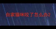自家猫咪咬了怎么办