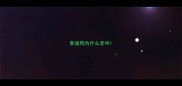 泰迪狗为什么老叫