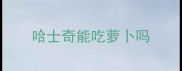 哈士奇能吃萝卜吗