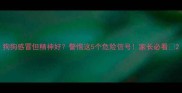狗狗感冒但精神好警惕这5个危险信号家长必看