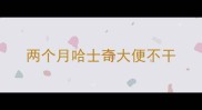 两个月哈士奇大便不干
