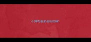 小狗吃驱虫药后拉稀