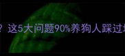 疫苗后变瘦没精神这5大问题90养狗人踩过坑附科学护理指南