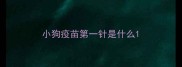 小狗疫苗第一针是什么