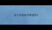 五个月边牧不听话打