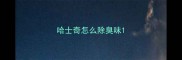 哈士奇怎么除臭味