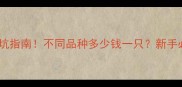 宠物狗价格避坑指南不同品种多少钱一只新手必看选购攻略