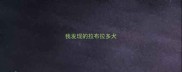 我发现的拉布拉多犬