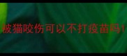 被猫咬伤可以不打疫苗吗