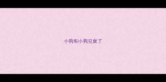 小狗和小狗见面了