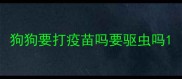 狗狗要打疫苗吗要驱虫吗
