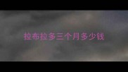 拉布拉多三个月多少钱