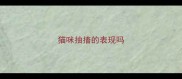 猫咪抽搐的表现吗