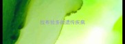 拉布拉多的遗传疾病