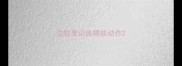 边牧要训练哪些动作