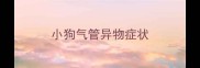 小狗气管异物症状
