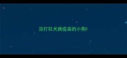 没打狂犬病疫苗的小狗