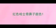 红色哈士奇鼻子颜色