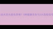 金毛幼犬舌头颜色异常5种健康舌色与3大危险信号全