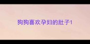 狗狗喜欢孕妇的肚子