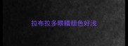 拉布拉多眼睛颜色好浅