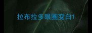 拉布拉多眼圈变白