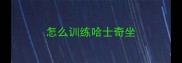 怎么训练哈士奇坐
