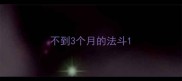 不到3个月的法斗