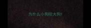 为什么小狗咬大狗