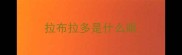 拉布拉多是什么眼